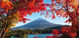 東京紅葉​ 東京近郊​ 東京 紅葉預測