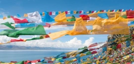 西藏旅遊 西藏旅行團 西藏