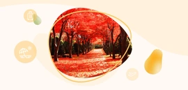 日本旅遊 日本紅葉 賞楓攻略