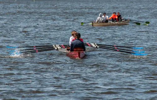 rowing team working together to row