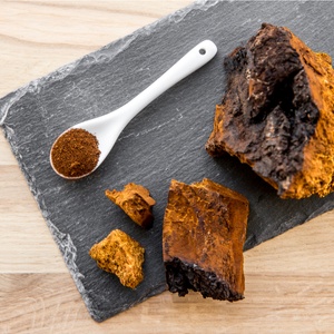 What Is Chaga, and What Does It Have To Do With Skincare?