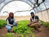 Two individuals in a greenhouse, crouching beside a plant and smiling brightly, 4 x 3.