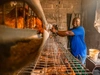 A young woman working at a farm with chickens wearing a bright blue t-shirt, IITA, Lagos, Nigeria, 2024.