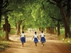 Three young girls in school uniforms walking down a road with mature tree cover