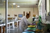 Melissa Moyo working in the lab