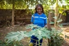 A young woman in Senegal observing plants in an outdoor garden