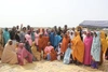 Group of women crowned and celebrating