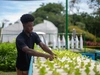 A Mastercard Foundation Scholar, working in a greenhouse, interacting with some lettuce sprouts.