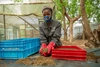 Monica Jackson gathering grain for her chickens, in Kakuma refugee camp, 2026.