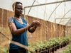 Purity and Phenny Omondi built an urban farm in Kibera, Nairobi. As part of their enterprise, Kilimo Jijini, they teach vertical farming techniques to women who live in Kibera, 2017