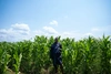 Selphine standing in a field on a bright and sunny day, wearing dark blue coveralls.