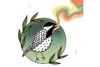 Illustration of a small bird in a green circle