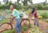 Fatumah Birungi at the UNEGA demonstration garden in Wakiso, one of the women is pushing along a bicycle and the other is behind with both smiling to camera