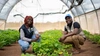 Two individuals in a greenhouse, crouching beside a plant and smiling brightly, 16 x 9.