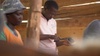 Enoch skillfully shapes the Ugabrush, highlighting the artisanal process behind each brush