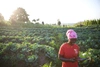 Florence Nyiranzabonimpa on a farm in Rwanda.