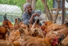 Monica Jackson feeding her flock of chickens, in Kakuma refugee camp, 2026.