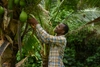 Esau Higenyi smiling in a beige and blue plaid shirt picking a fresh coconut