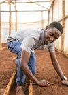 A man kneeling as he works in a greenhouse.