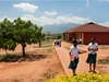 Schoolchildren walking outside.