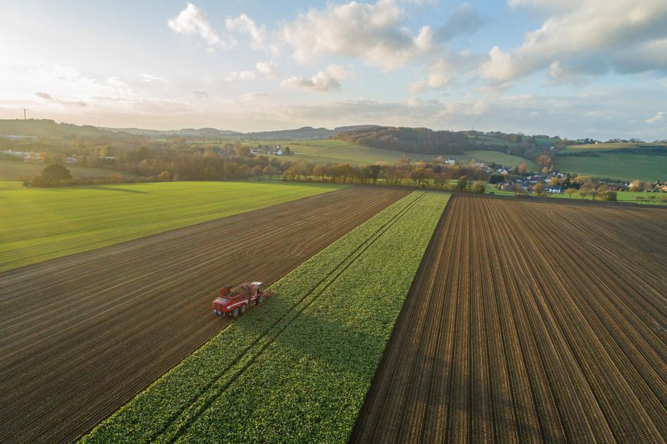 Karriere Weltweit | GRIMME Gruppe