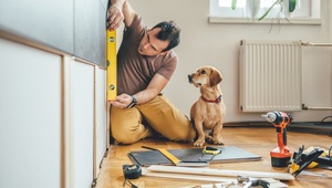 man renovating home with dog watching