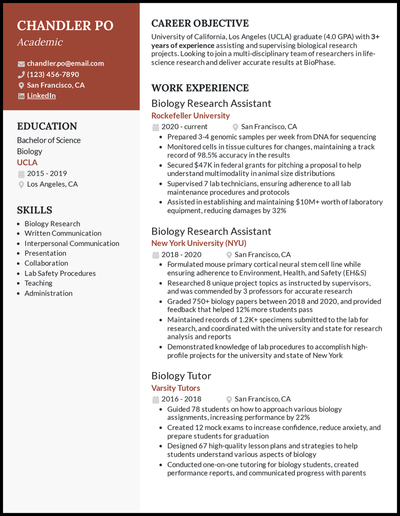 Academic resume examples with 4+ years of experience