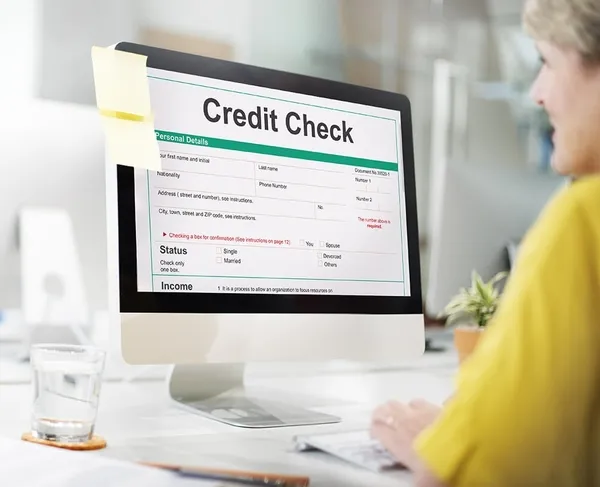 Someone at computer checking their credit file