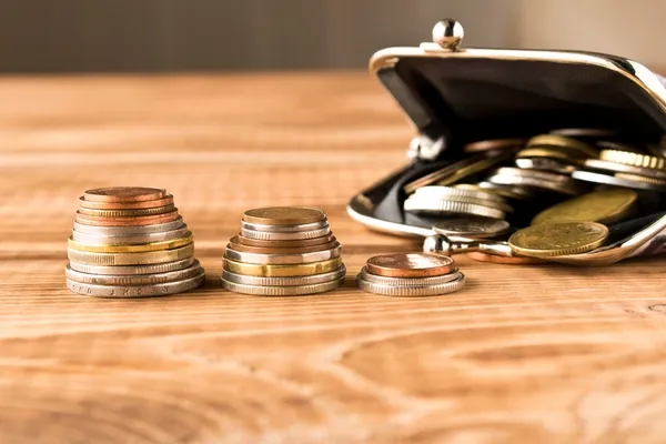 purse with pennies