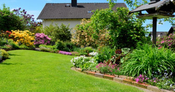 How your garden has the potential to affect your home's value