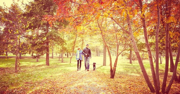 Couple walking a dog surrounded by autumnal trees