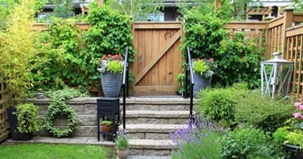 Thursday's Home Improvement Tips: The garden