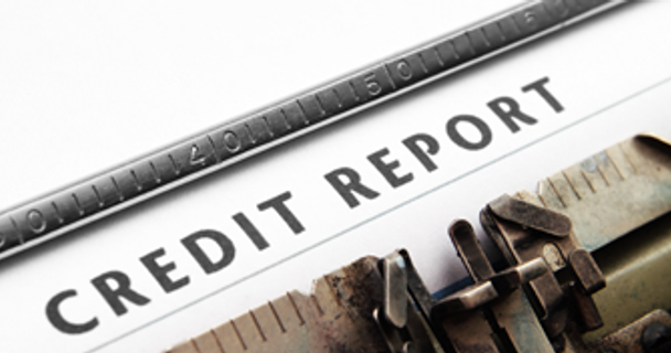 What is a statutory credit report?