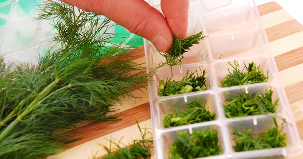 herbs in ice cube tray