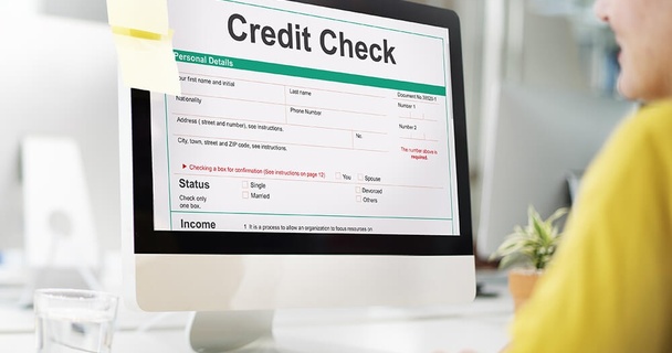 Someone at computer checking their credit file
