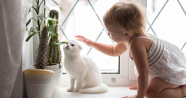 My home's value has gone up. Should I remortgage?