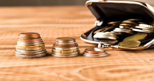 purse with pennies