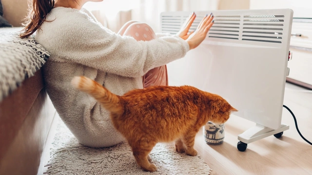 woman sat with cat warming her hands by an electric heater