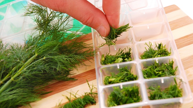 herbs in ice cube tray