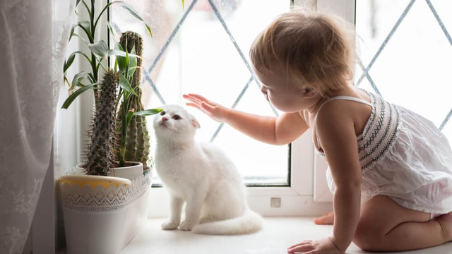 My home's value has gone up. Should I remortgage?