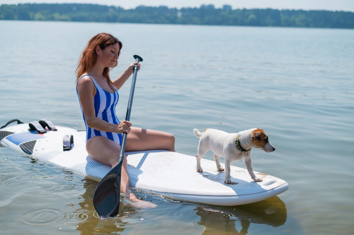 Paddle with your dog in Lincolnshire