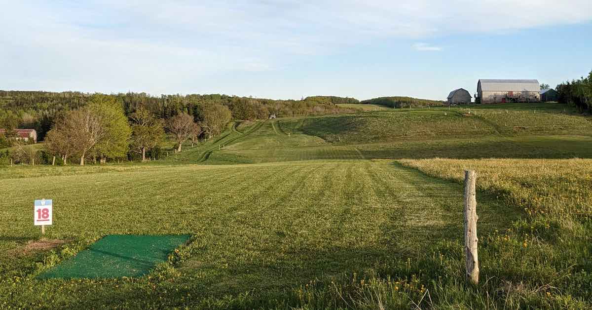 Turf disc golf tee pad in a mowed fairway in a large field