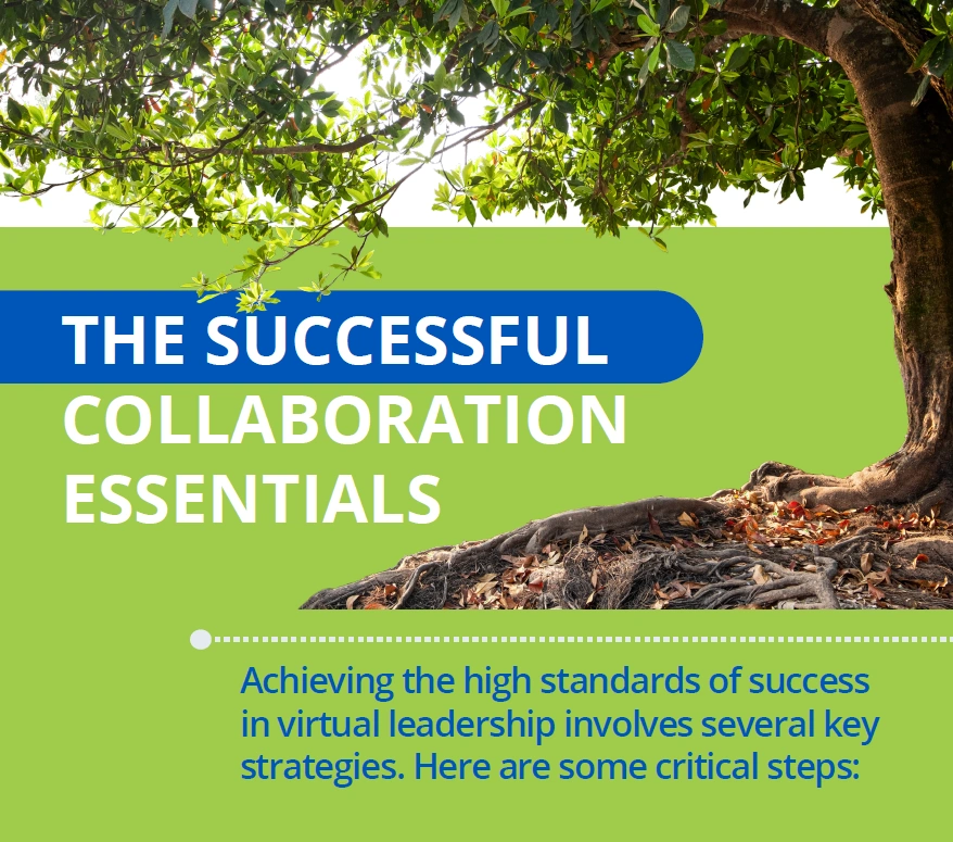 The Successful Collaboration Essentials