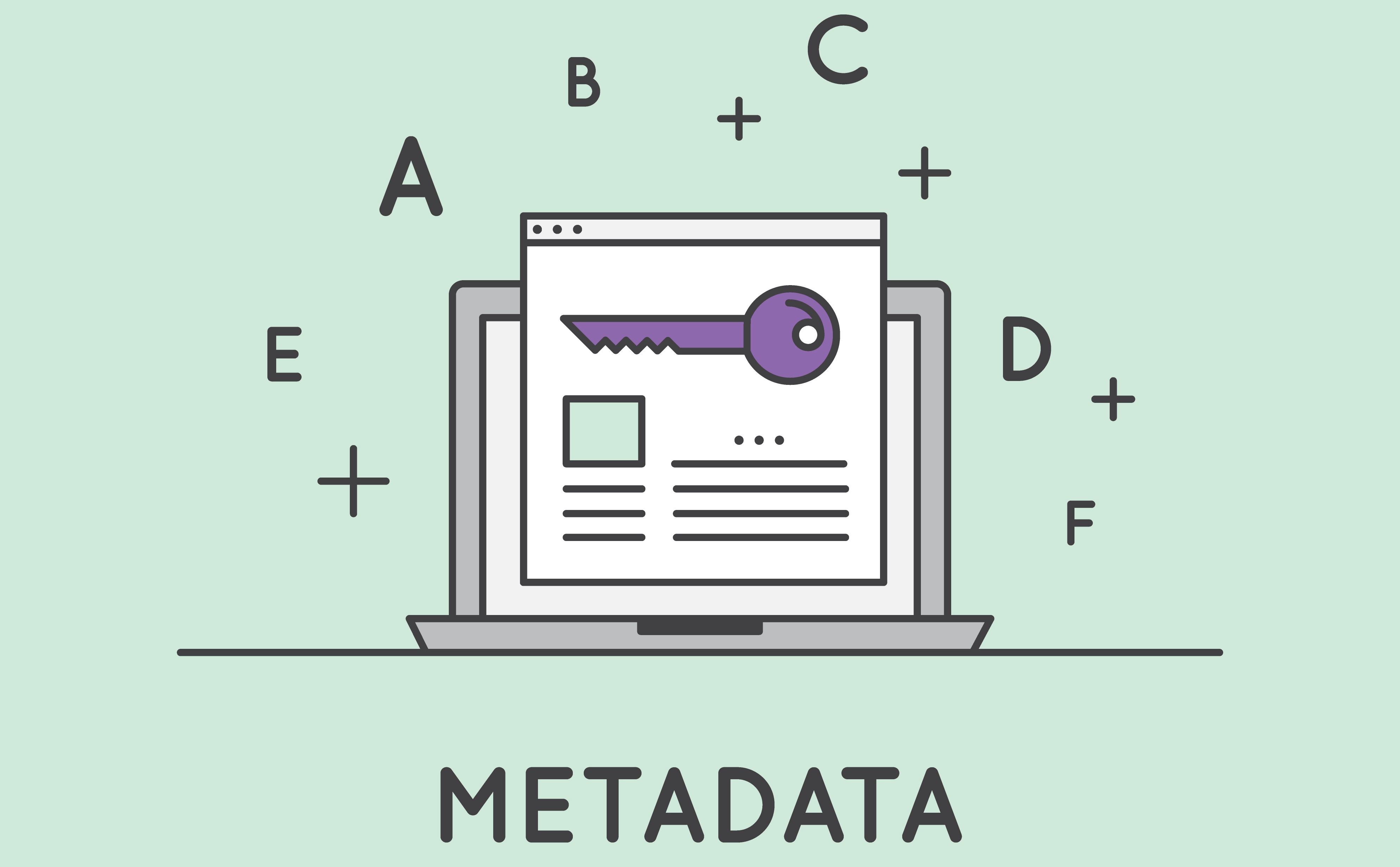 Metadata. Metadata icon. Метаданные иллюстрация. Метаданные пиктограмма. Метаданные вектор.