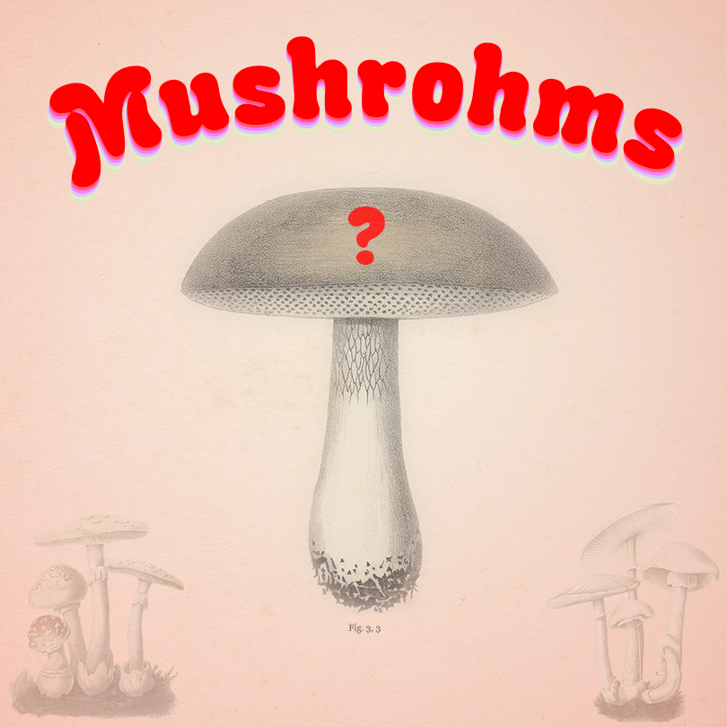 Mushrohms