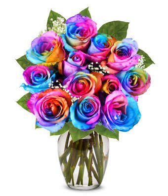 Rainbow Roses