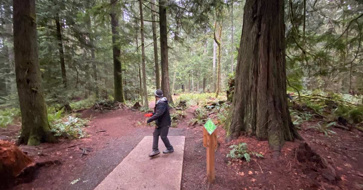 Disc golfer running up on tee pad in thickwoods in northwestern US