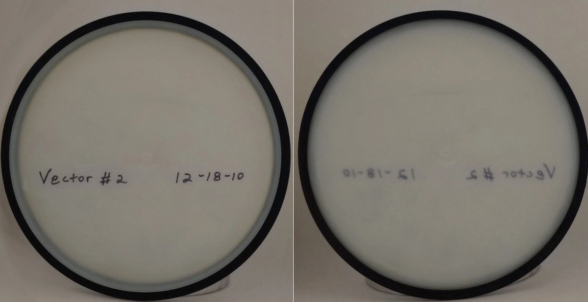 Transparent disc with black rim seen from top and bottom