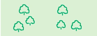 NON-CONIFEROUS TREES