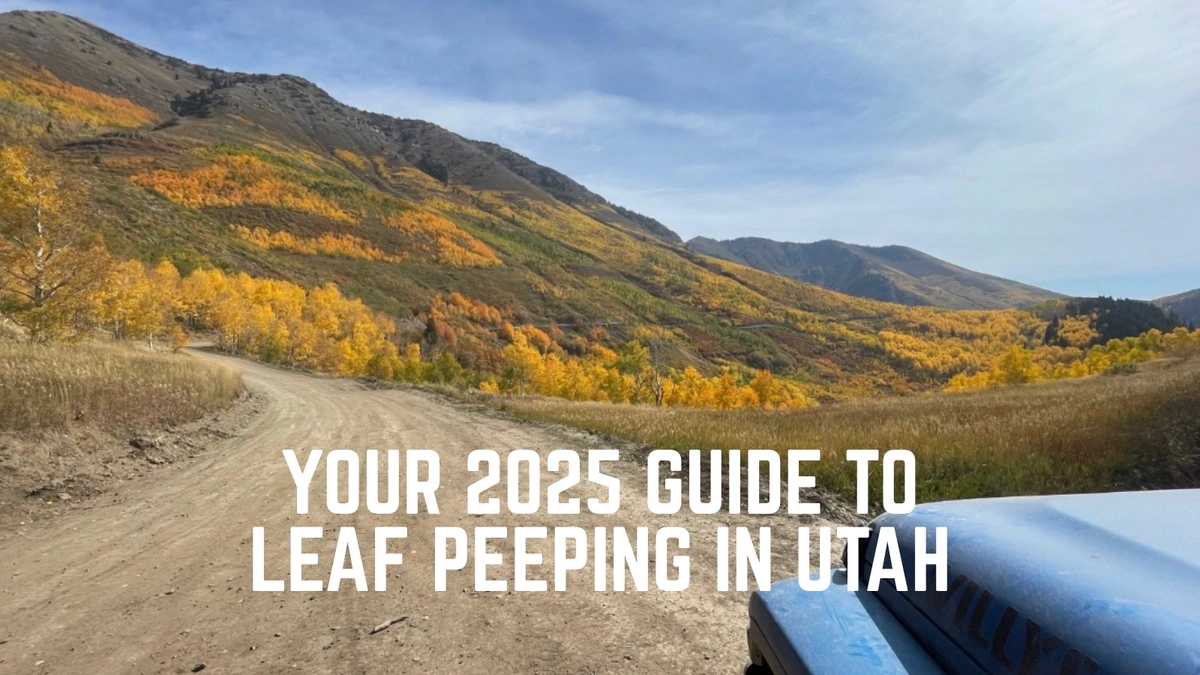 Utah Leaf-Peeping: 6 Off-Road Trails to See Fall Colors in 2025 Blog Photo